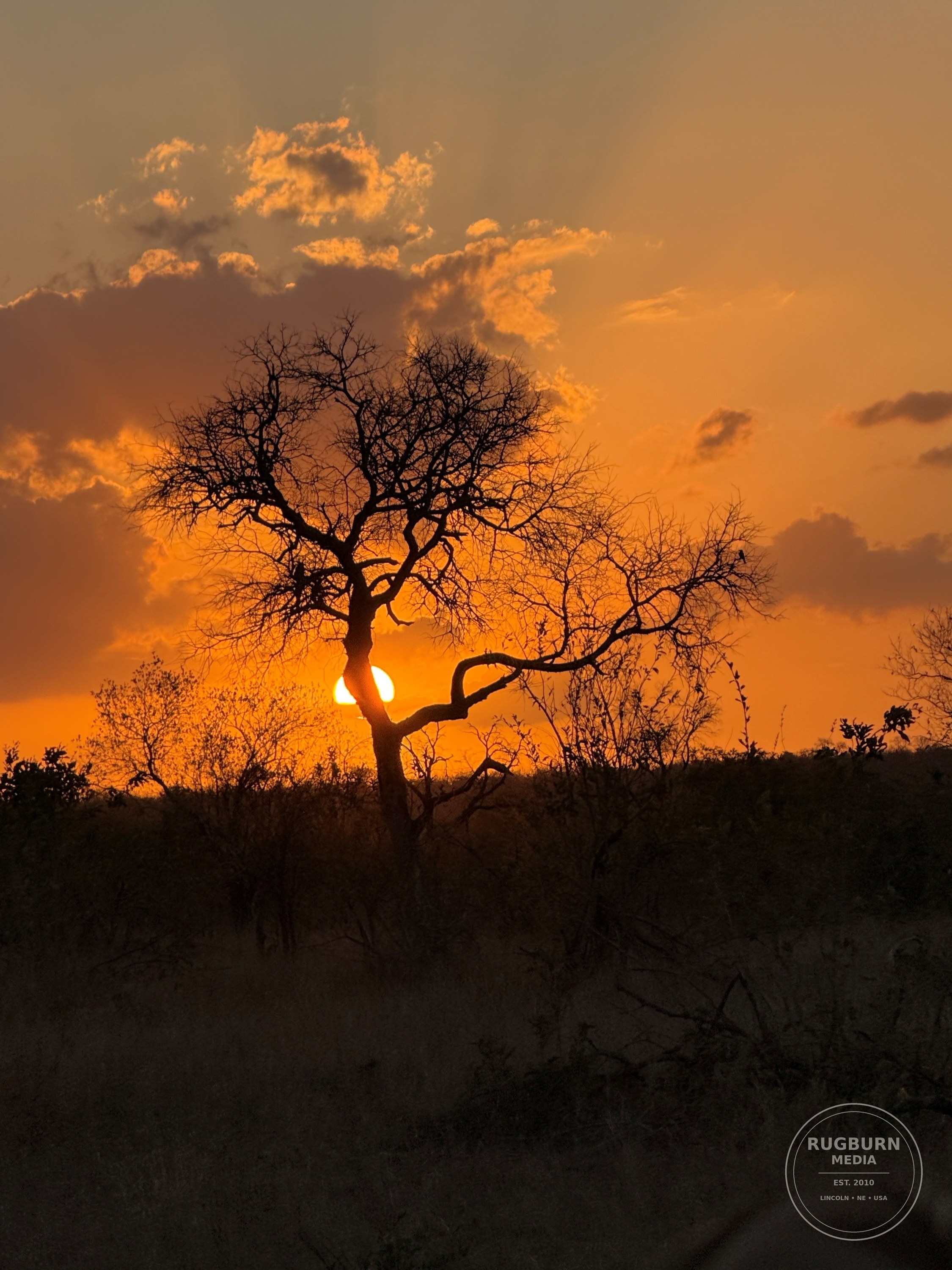 Africa - Sabi Sands - Dulini photograph 049 by Brian Schwanebeck in South Africa Sabi Sands Nature Reserve.