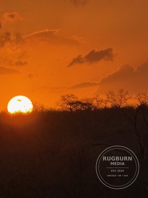 Africa - Sabi Sands - Dulini photograph 051 by Brian Schwanebeck in South Africa Sabi Sands Nature Reserve.