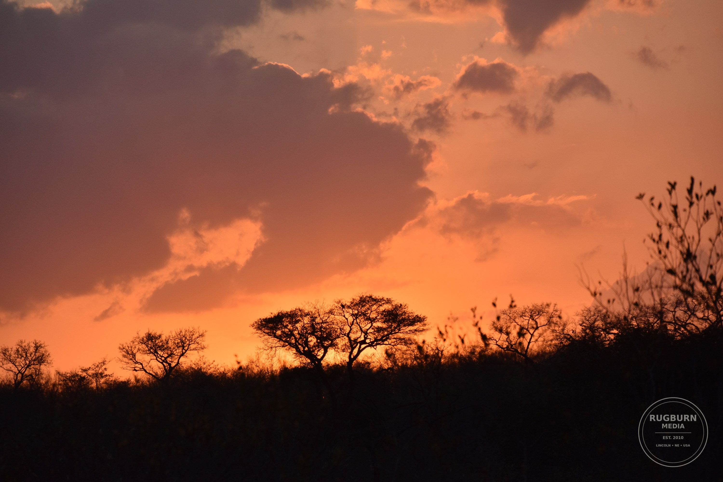 Africa - Sabi Sands - Silvan photograph 003 by Brian Schwanebeck in South Africa Sabi Sands Nature Reserve.