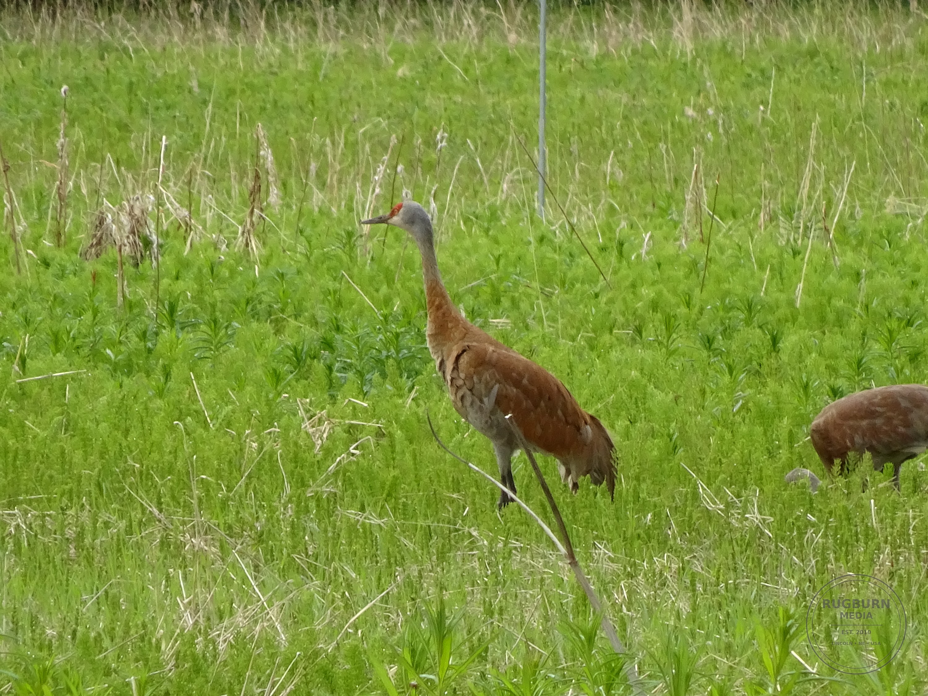 Alaska Vol 1 photograph 012 by Brian Schwanebeck in Alaska.