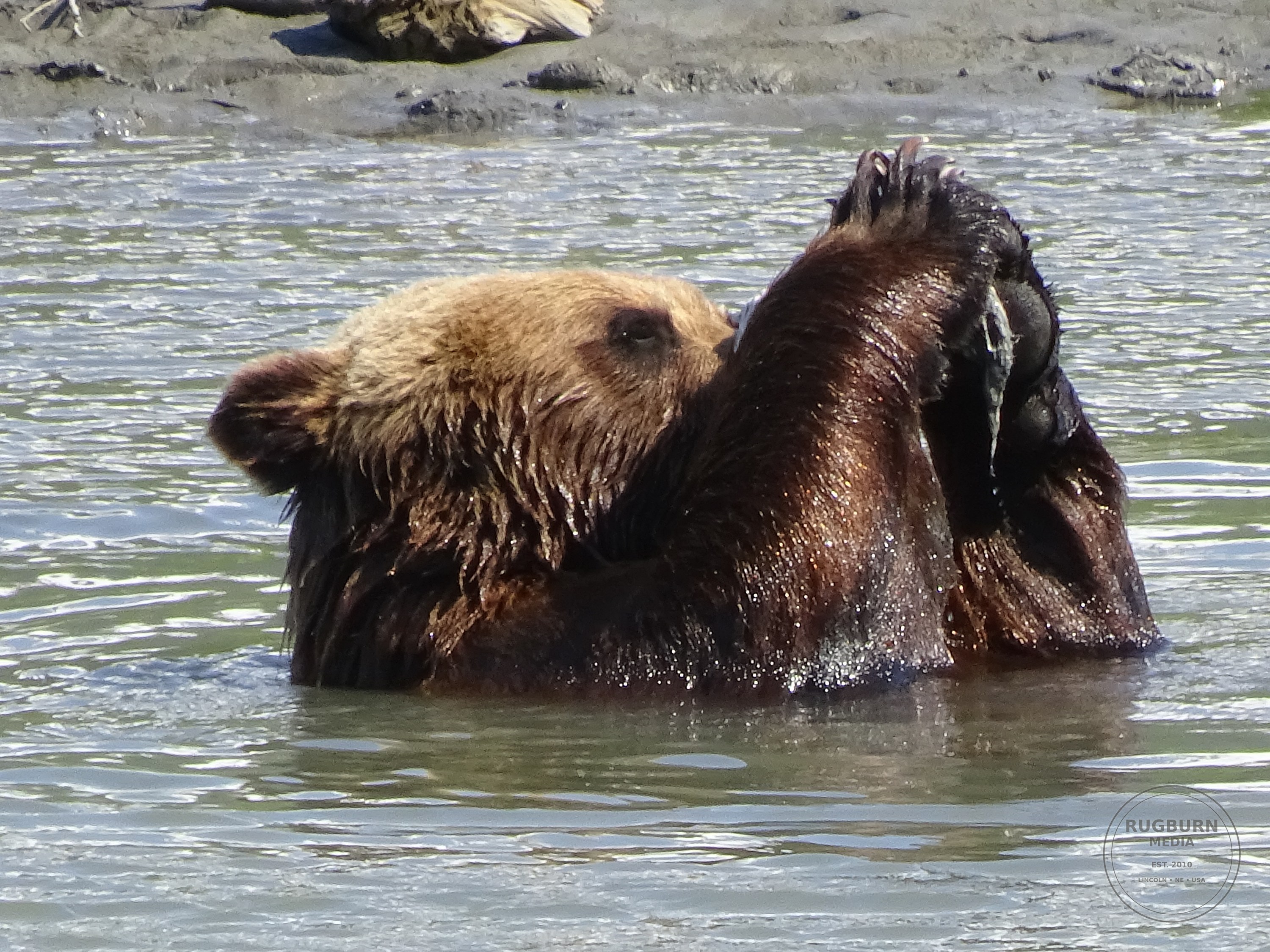 Alaska Vol 2 001 from the Alaska Vol 2 photography project by Brian Schwanebeck in Alaska.