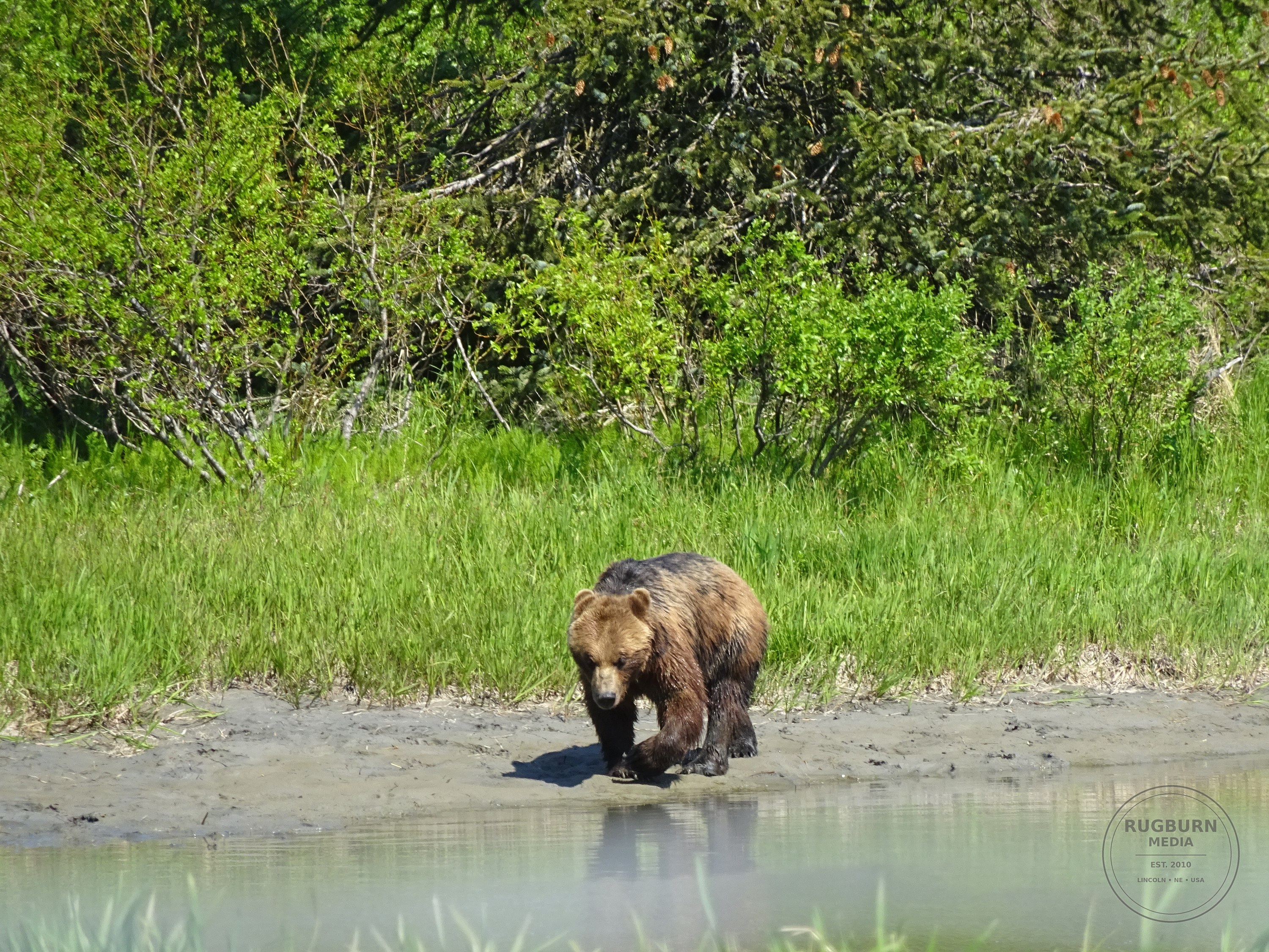 Alaska Vol 2 photograph 022 by Brian Schwanebeck in Alaska.