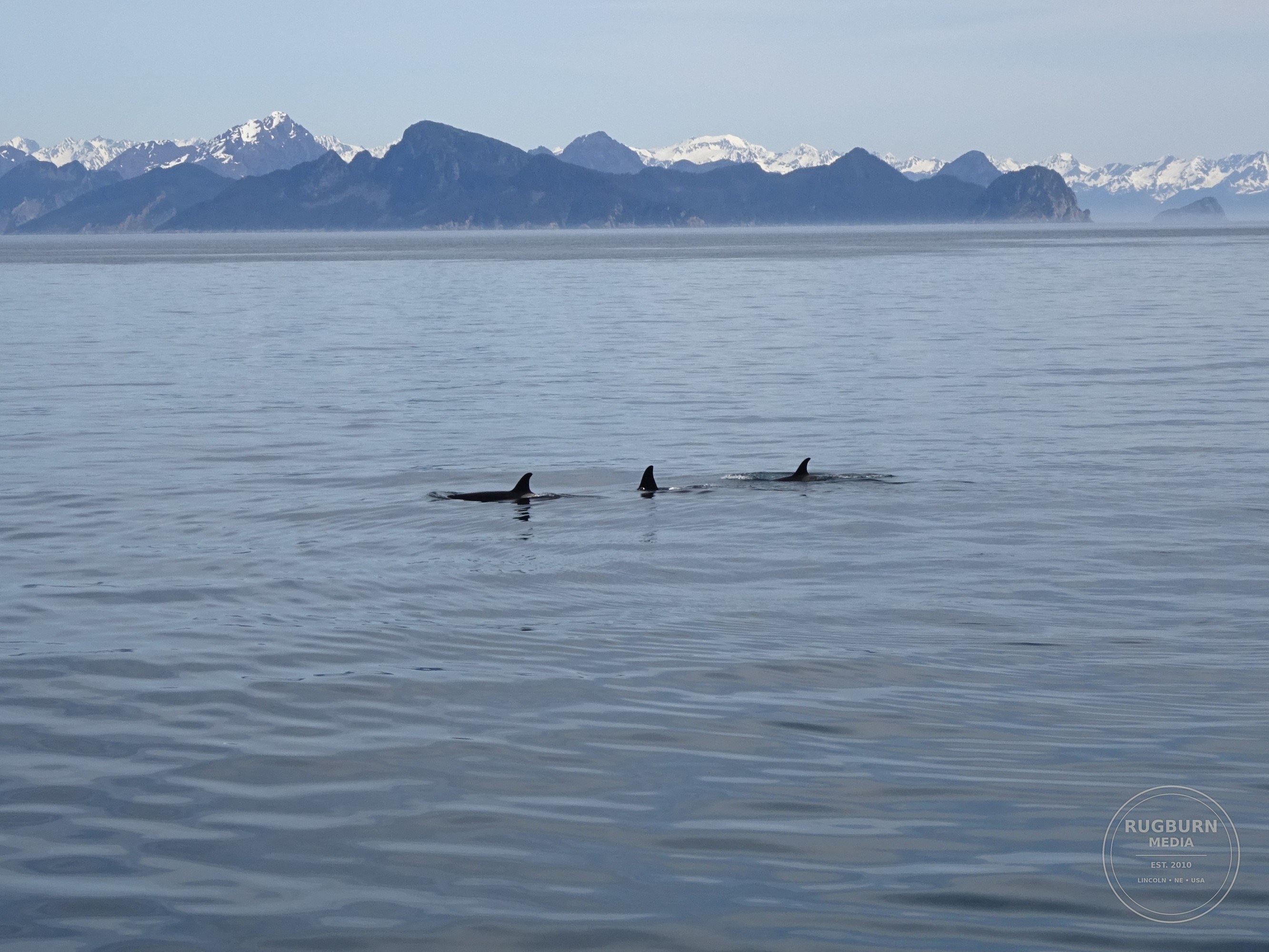 Alaska Vol 2 photograph 034 by Brian Schwanebeck in Alaska.