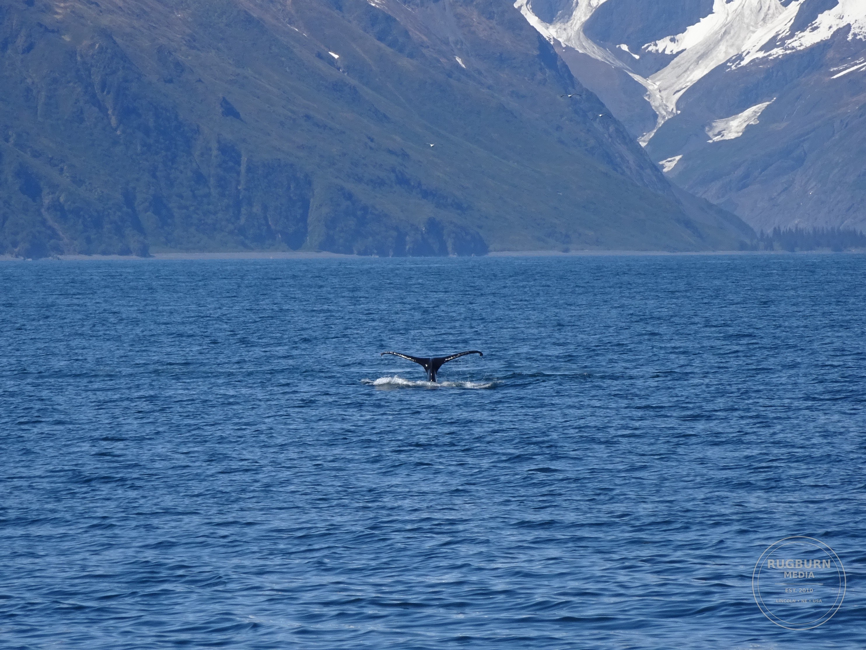 Alaska Vol 2 photograph 045 by Brian Schwanebeck in Alaska.