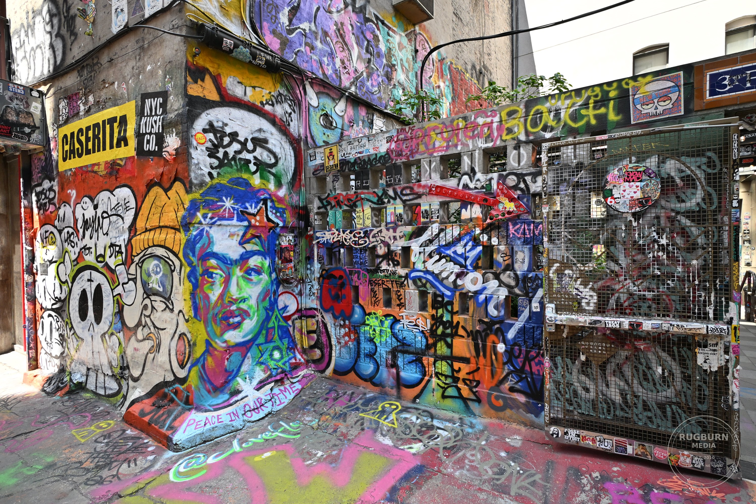 NYC Street Art vol 1 photograph 023 by Brian Schwanebeck in NYC.
