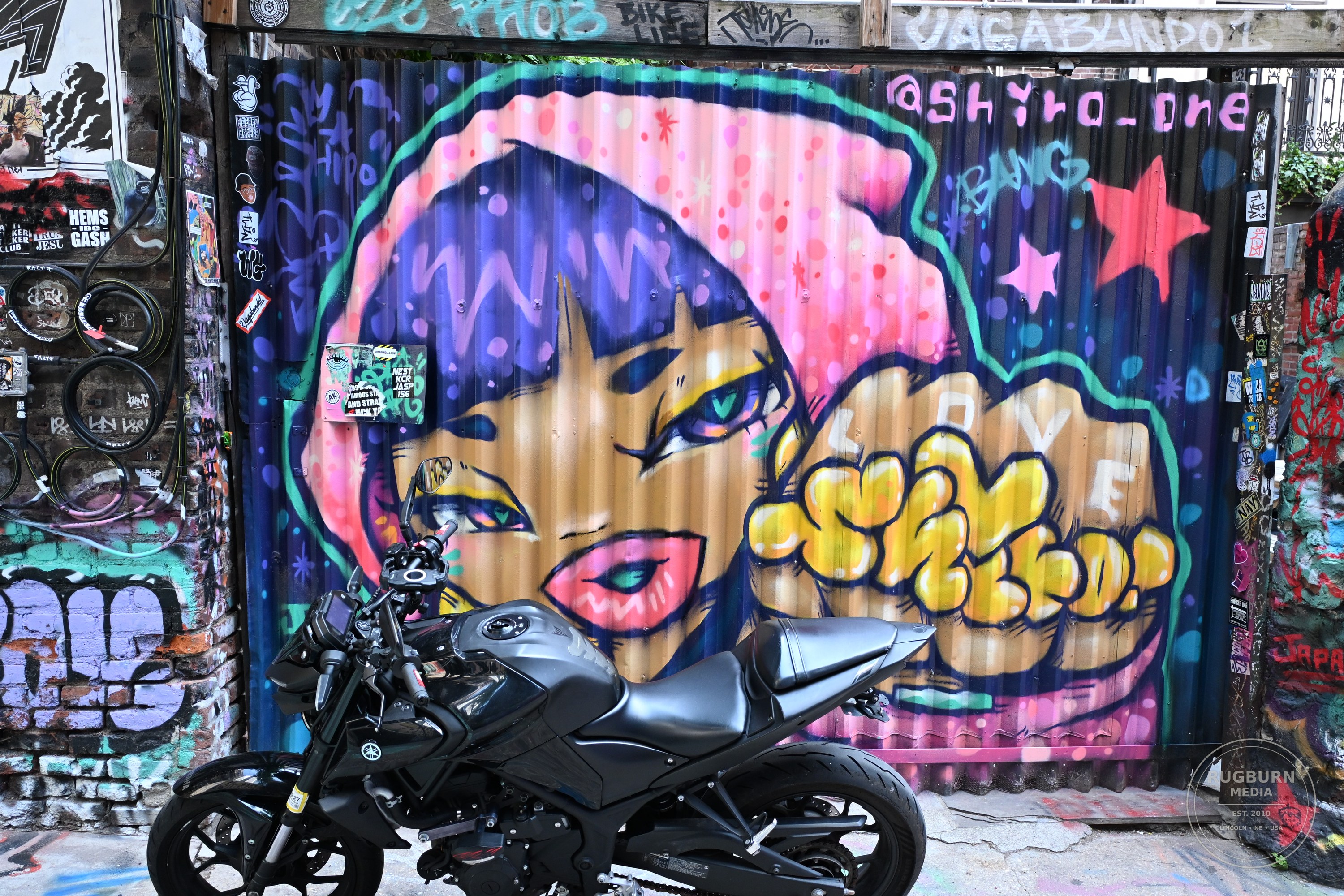 NYC Street Art vol 1 photograph 026 by Brian Schwanebeck in NYC.