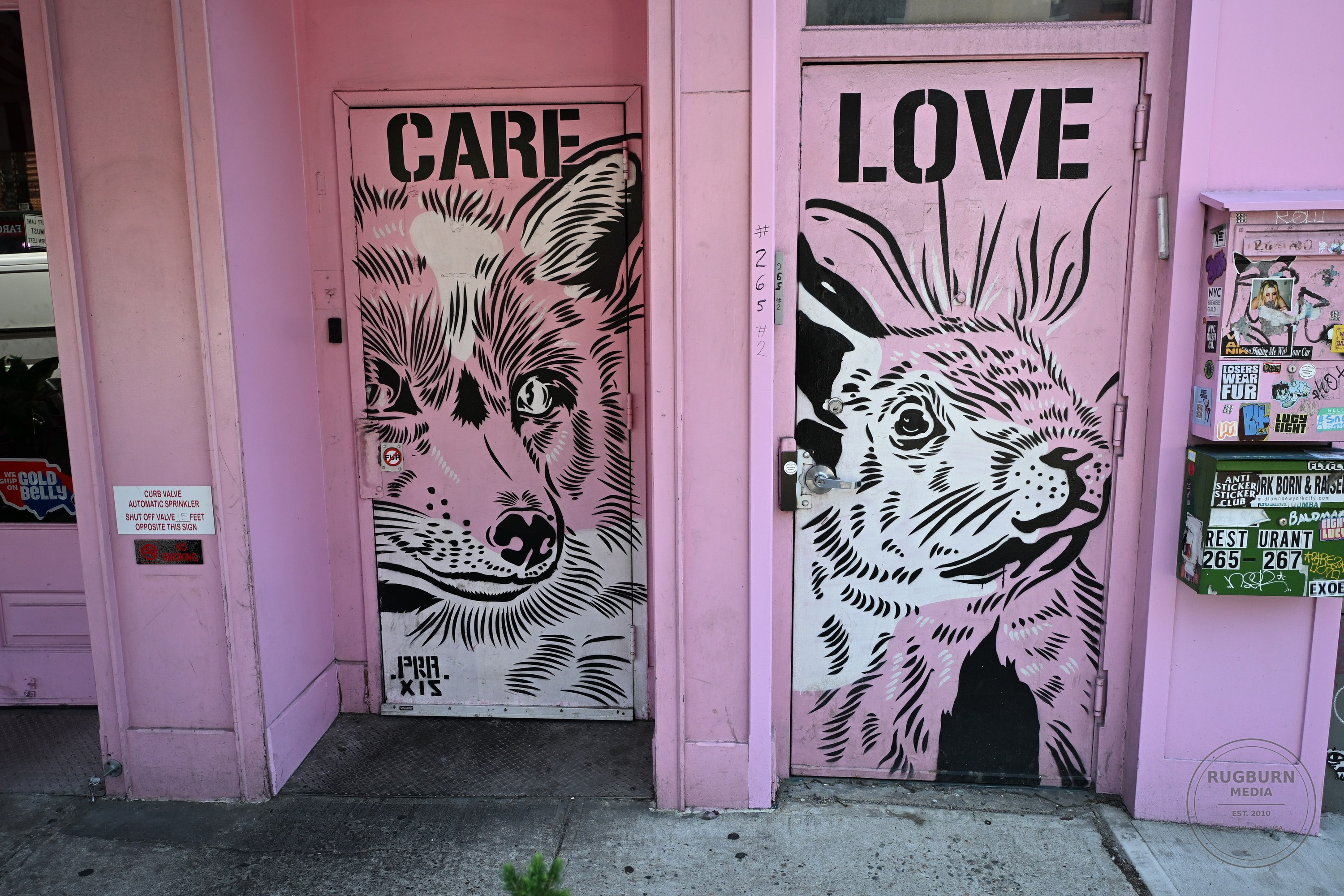 NYC Street Art vol 1 photograph 037 by Brian Schwanebeck in NYC.