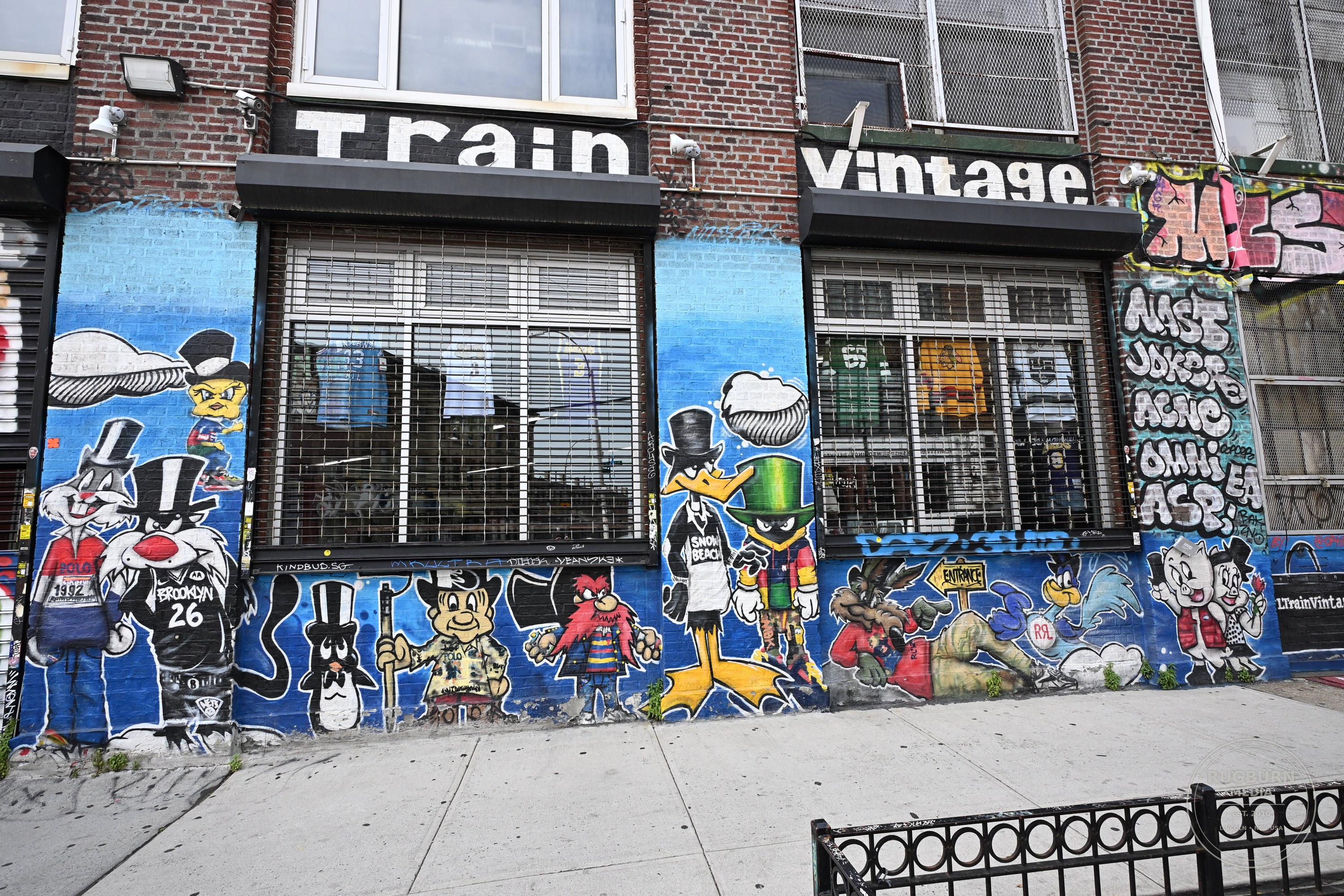 NYC Street Art vol 2 photograph 030 by Brian Schwanebeck in NYC & BKLYN.